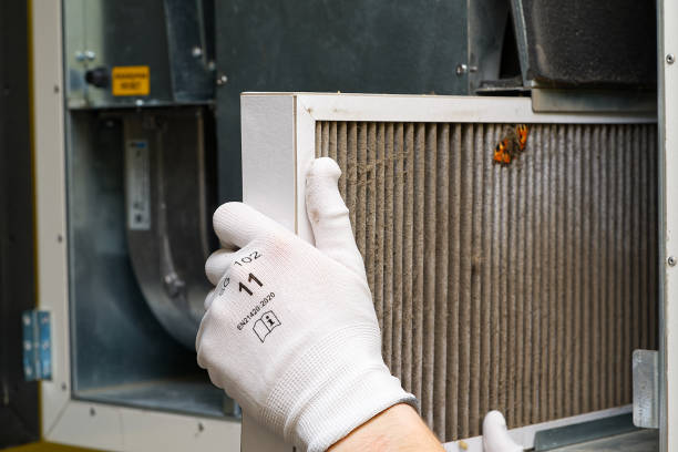 Best Home Air Vent Cleaning  in Girard, IL